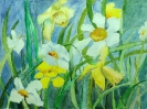 Irises