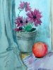 Flowers at the window