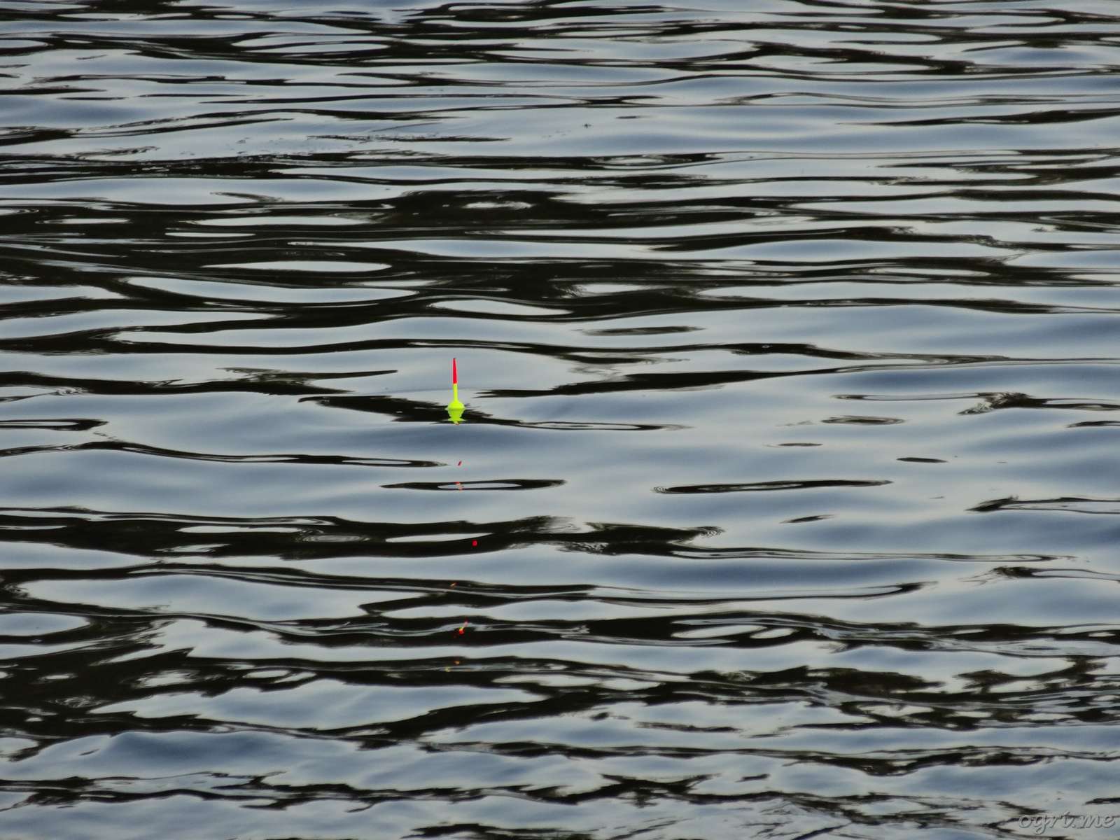 float-is-floating.jpg